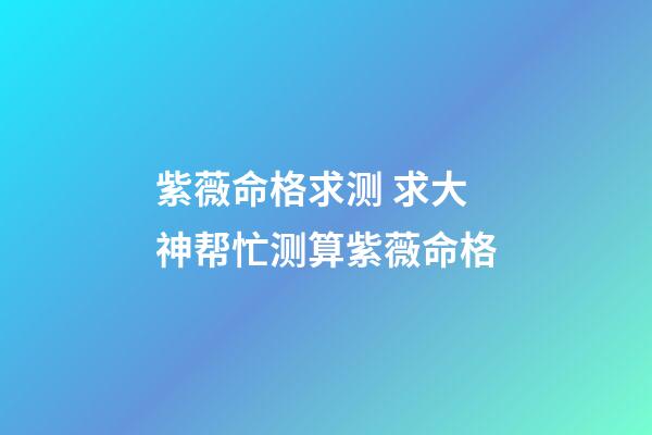 紫薇命格求测 求大神帮忙测算紫薇命格-第1张-观点-玄机派
